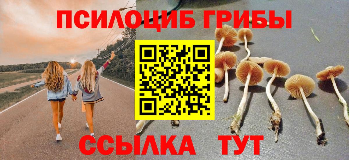 Галлюциногенные грибы MAGIC MUSHROOMS Щёлково