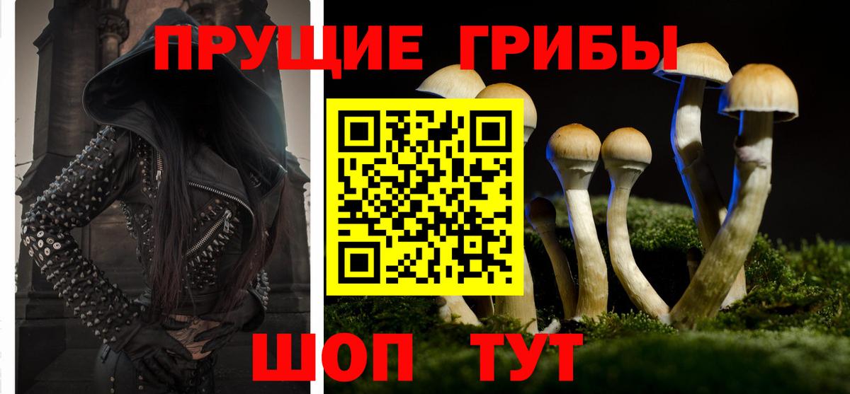 Псилоцибиновые грибы Magic Shrooms  Вход с VPN  Щёлково 