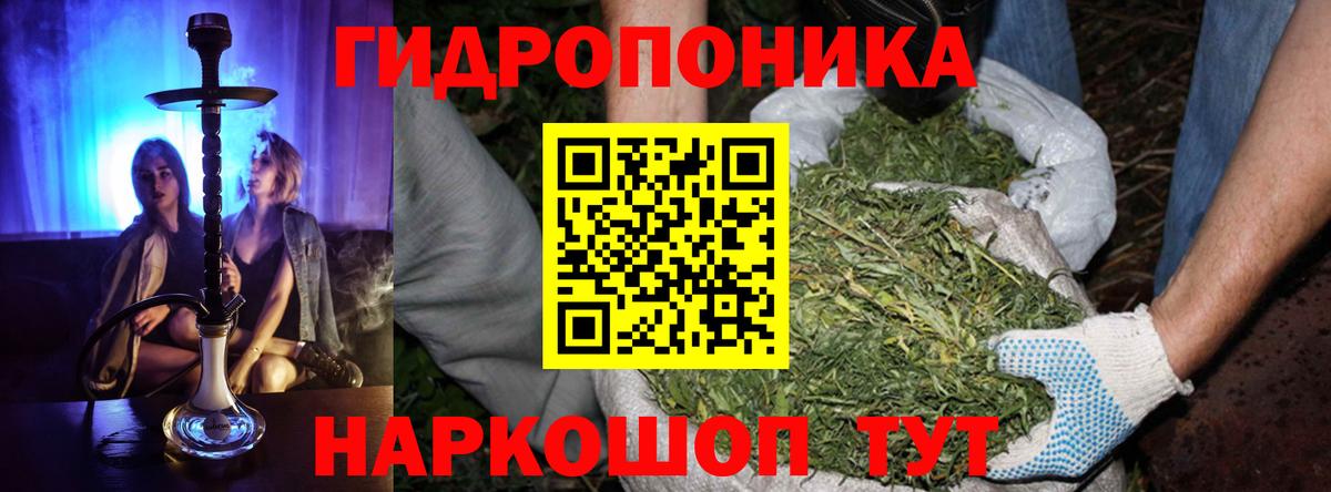 Бошки марихуана конопля  Вход с VPN  Щёлково  МАРИХУАНА сатива  Конопля план  МАРИХУАНА Ganja 